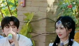 狗仔爆料白鹿最新消息,狗仔爆料揭秘最新幕后故事