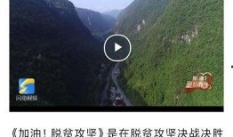 金乡小夏最新爆料新闻视频,最新爆料新闻视频深度解析